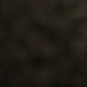 Meet your Posher, Meagan